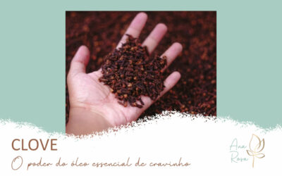 CLOVE  – O poder do óleo essencial de cravinho